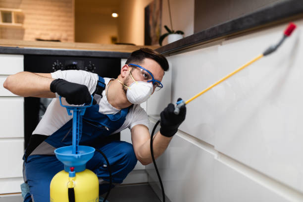 Best Bed Bug Extermination  in Riley, KS