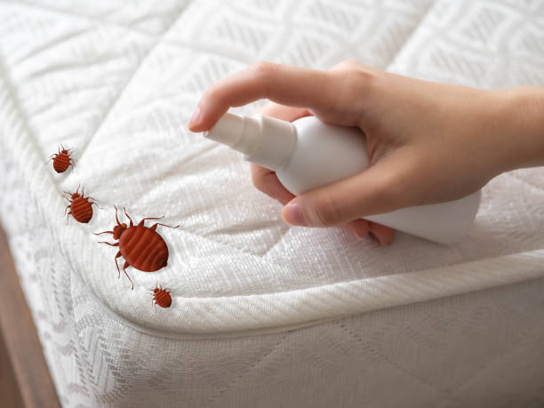 Best Pest Control for Businesses  in Riley, KS