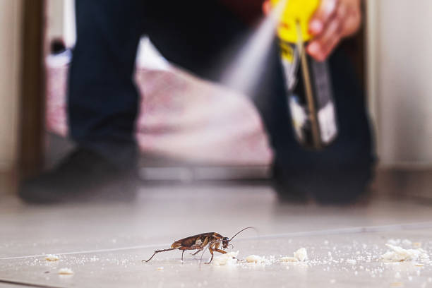 Best Wasp Removal Services  in Riley, KS