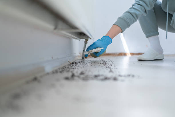 Best Local Pest Control Services  in Riley, KS