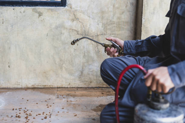 Pest Prevention Services in Riley, KS