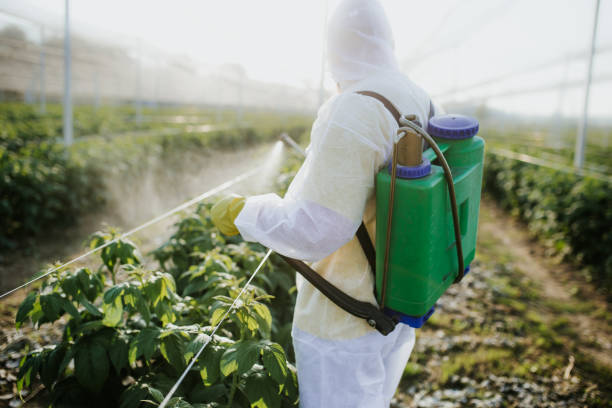 Best Pest Removal Services  in Riley, KS